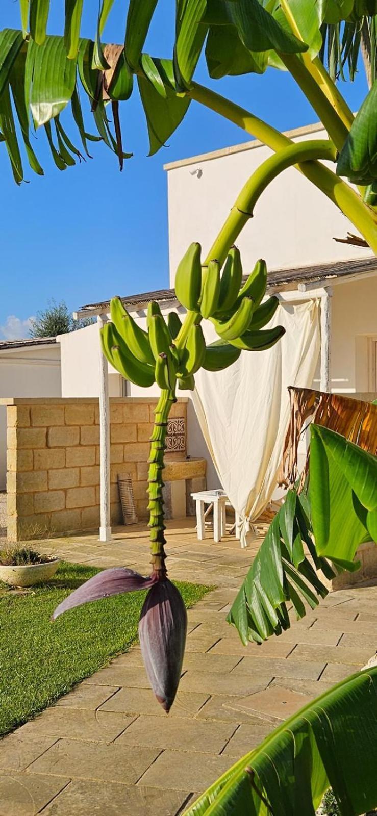 Tenuta Puloni Otranto Bagian luar foto